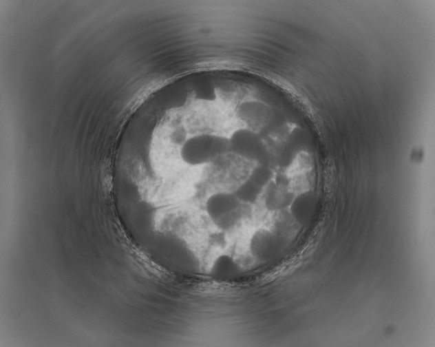 X0000095110929200712301732