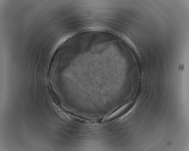 X0000095110930200712301732