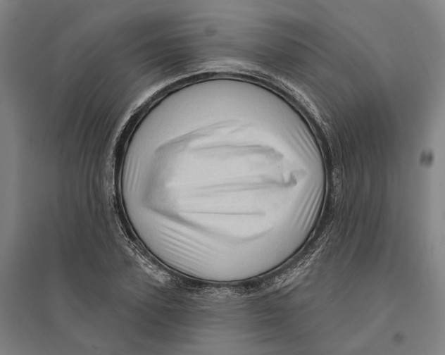 X0000095110931200712301732