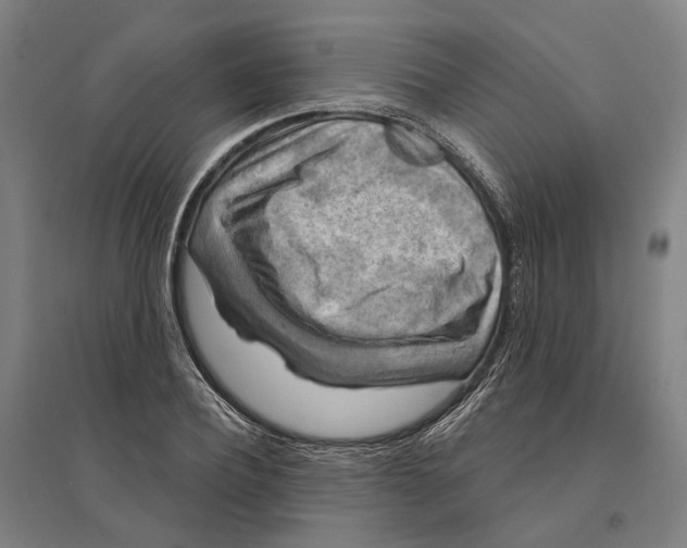 X0000095110932200712301732