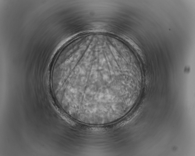 X0000095110933200712301732