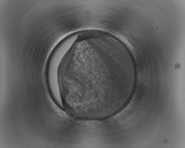 X0000095110934200712301733