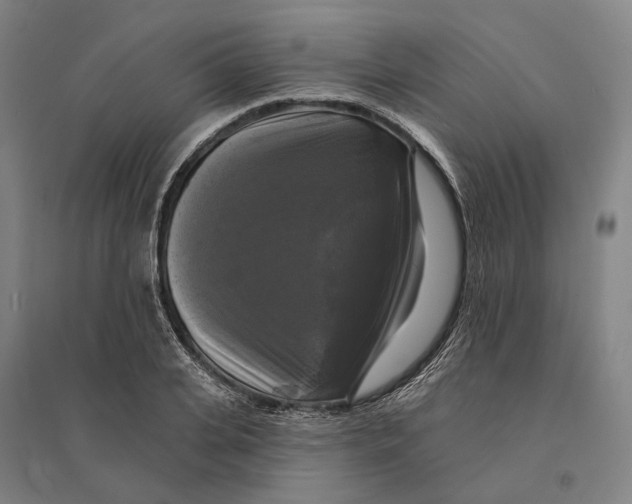 X0000095110935200712301733