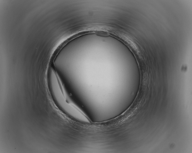 X0000095110936200712301733