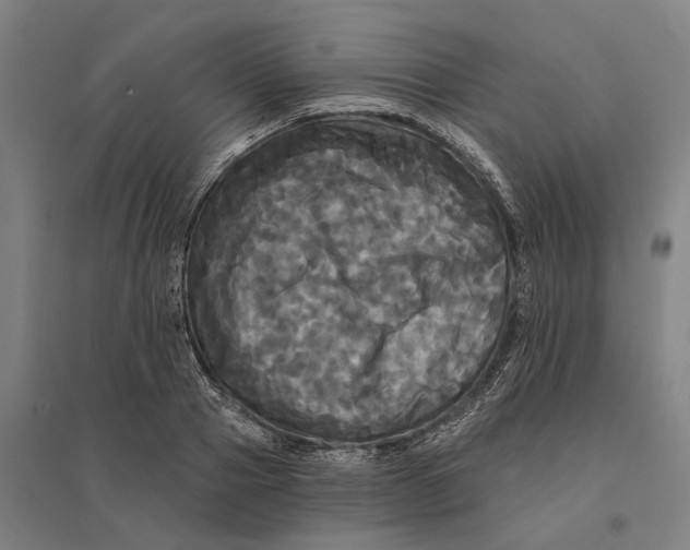 X0000095110937200712301733