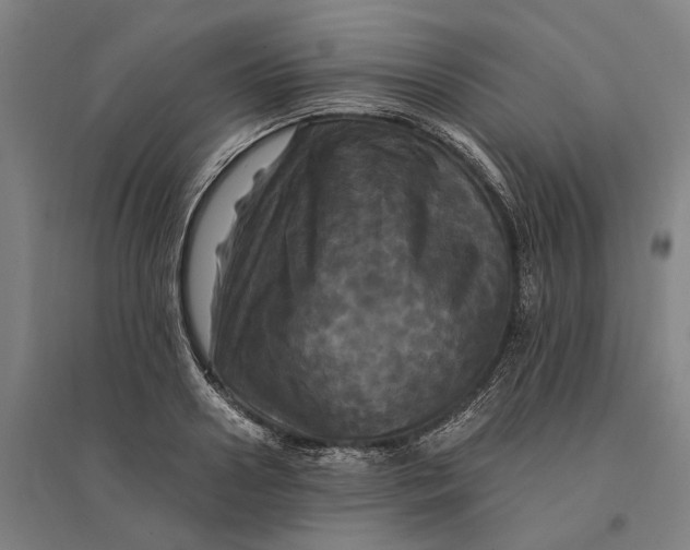 X0000095110938200712301733