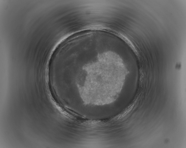 X0000095110939200712301733