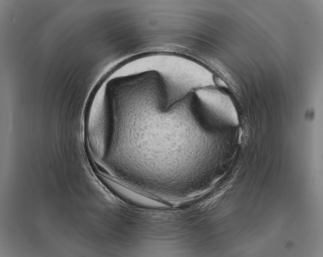 X0000095110940200712301733