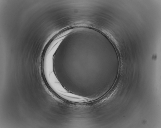 X0000095110941200712301733