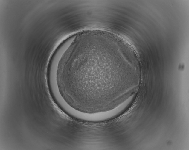 X0000095110942200712301733