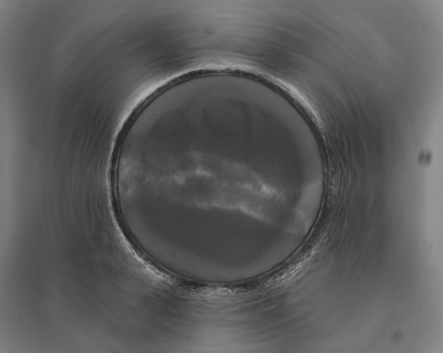 X0000095110943200712301733