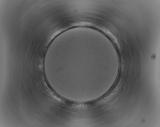 X0000095110945200712301733