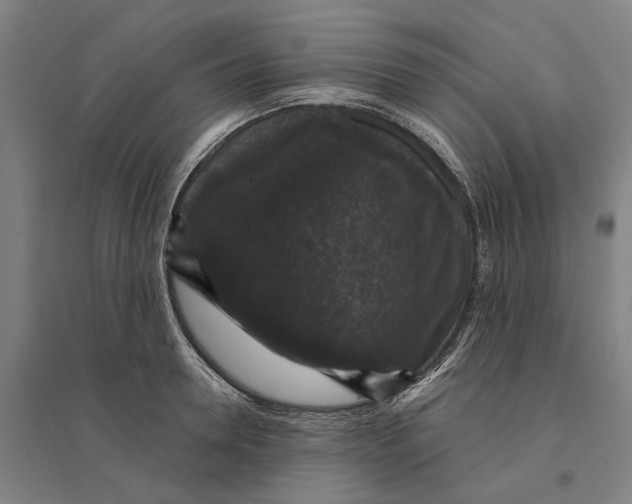 X0000095110946200712301733