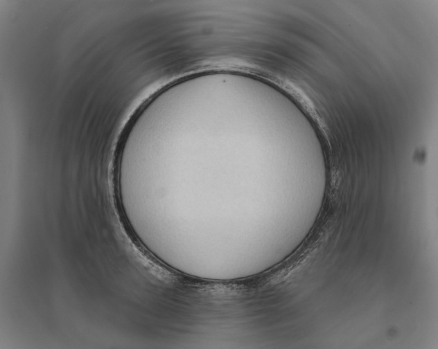 X0000095110947200712301733