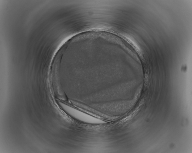 X0000095110948200712301733