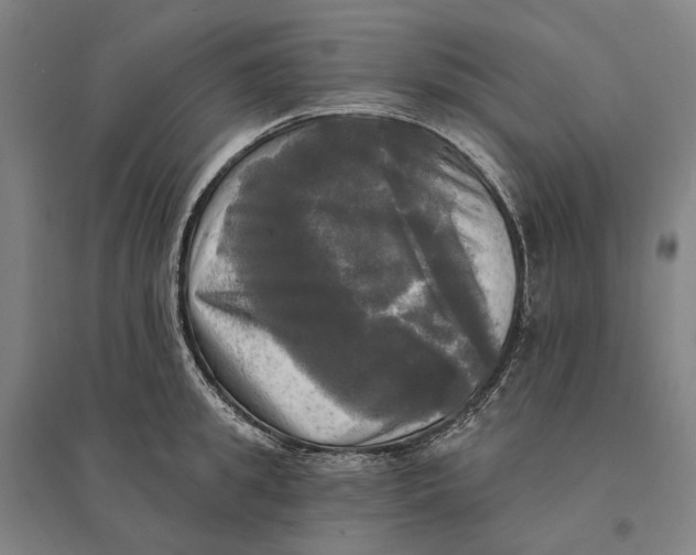 X0000095110949200712301733