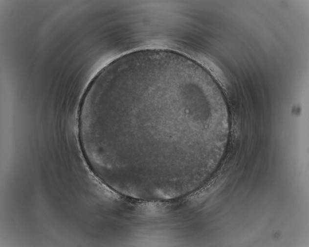 X0000095110950200712301733