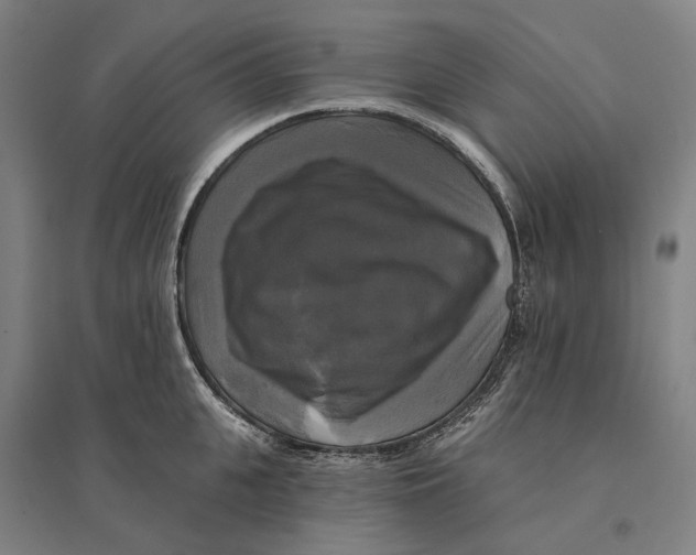 X0000095110951200712301733