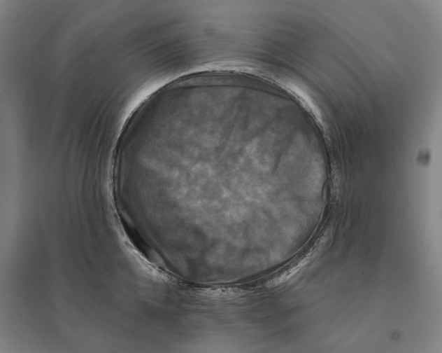 X0000095110952200712301733