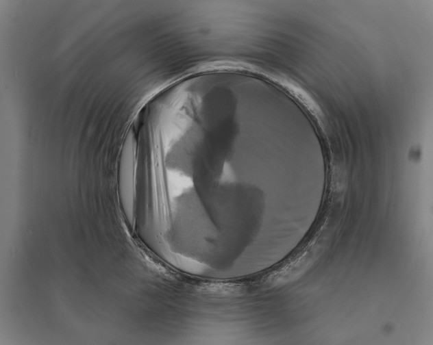 X0000095110953200712301733