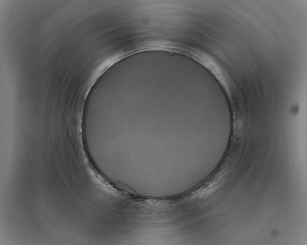 X0000095110954200712301733