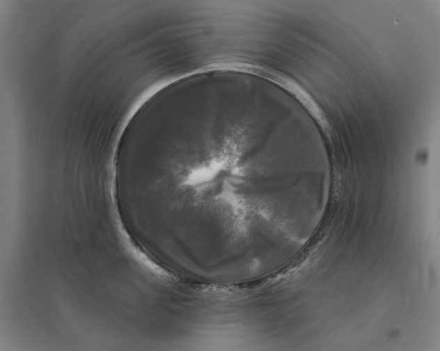 X0000095110955200712301733