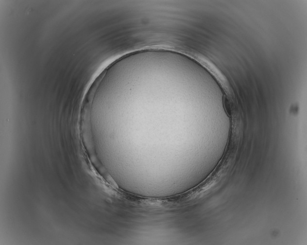 X0000095110956200712301733