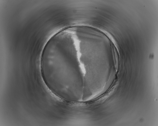 X0000095110957200712301733