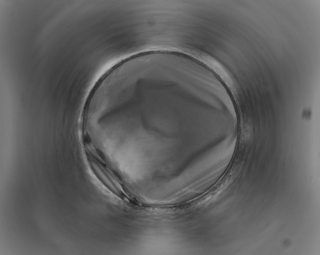 X0000095110958200712301733