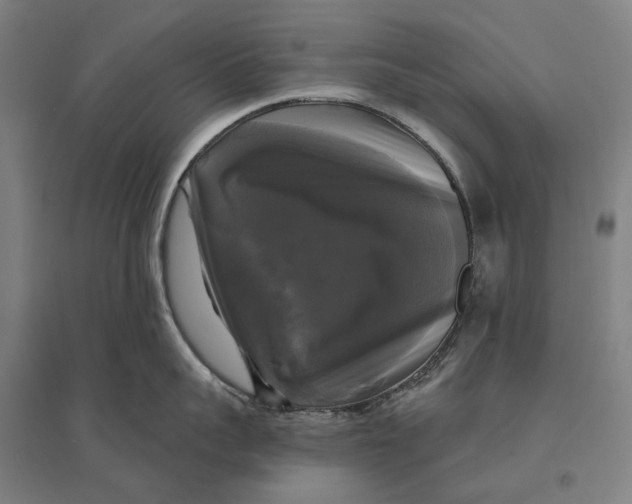 X0000095110959200712301733