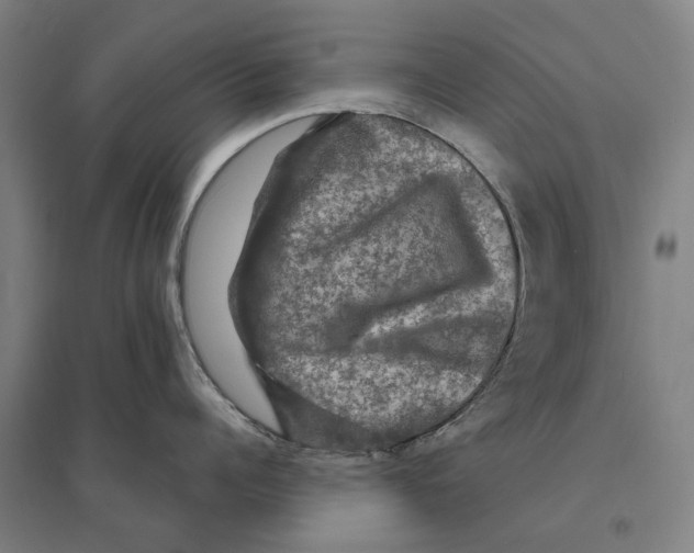 X0000095110960200712301733