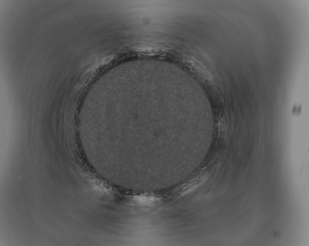 X0000095110961200712301732