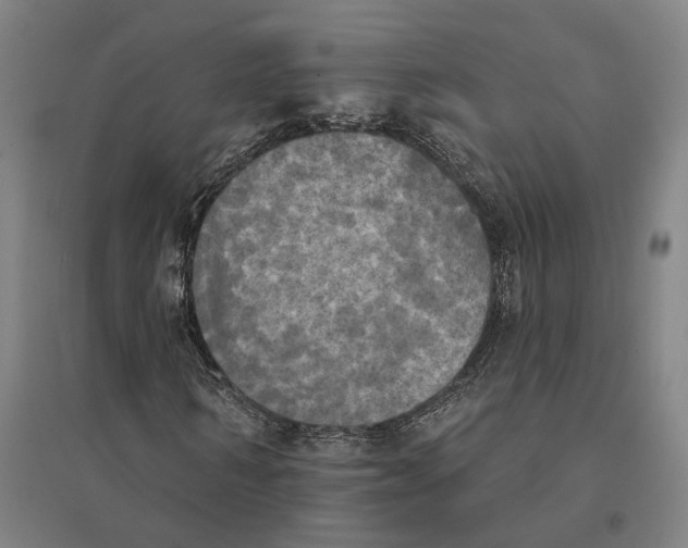 X0000095110962200712301732