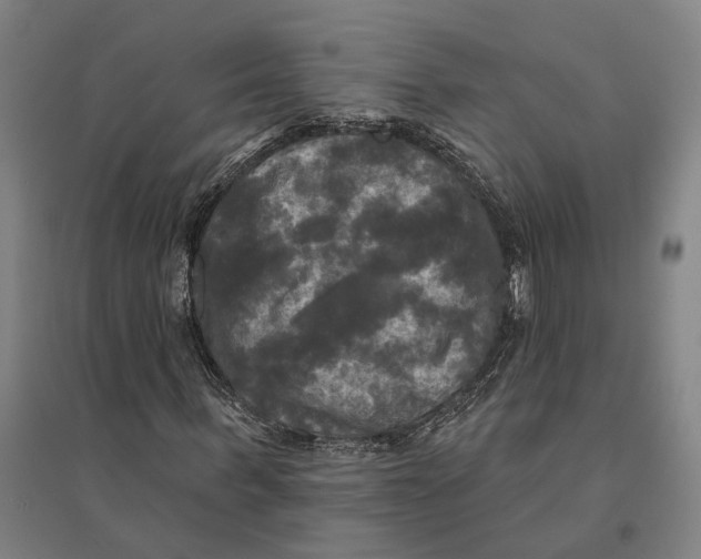 X0000095110963200712301732