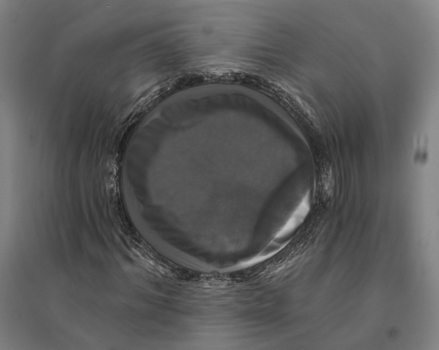 X0000095110964200712301732