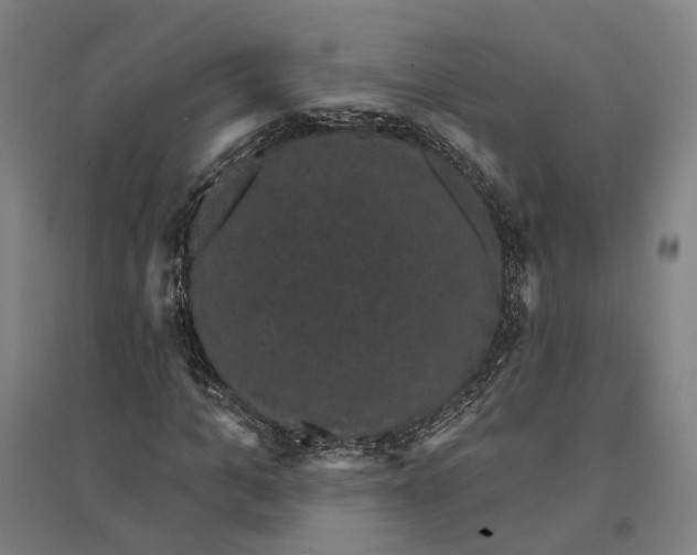 X0000095110965200712301732