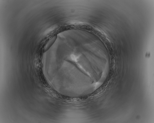 X0000095110966200712301732