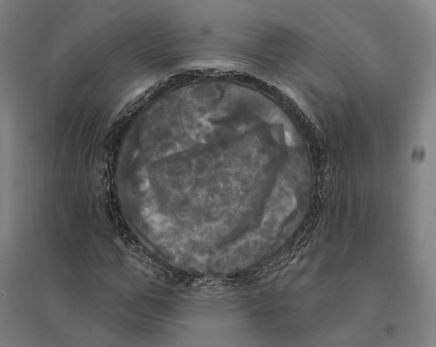 X0000095110967200712301732