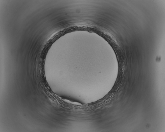 X0000095110968200712301732