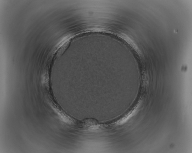 X0000095110969200712301732