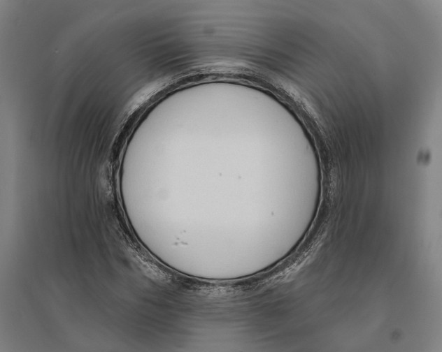 X0000095110970200712301732