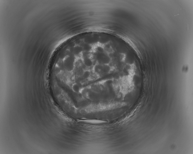 X0000095110971200712301732