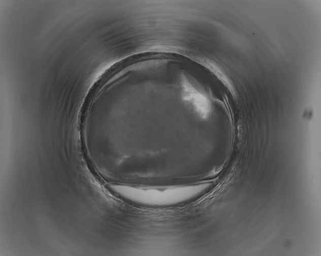 X0000095110972200712301732