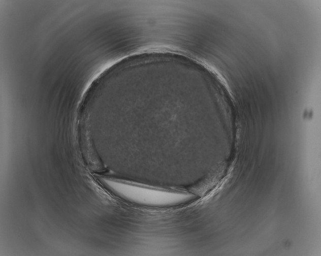 X0000095110973200712301732