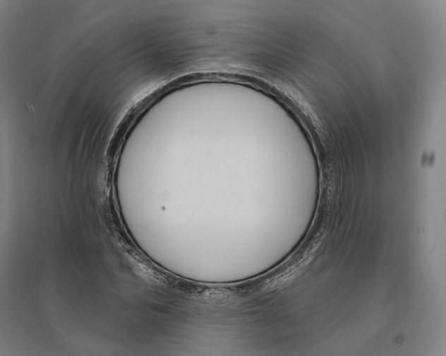 X0000095110974200712301732