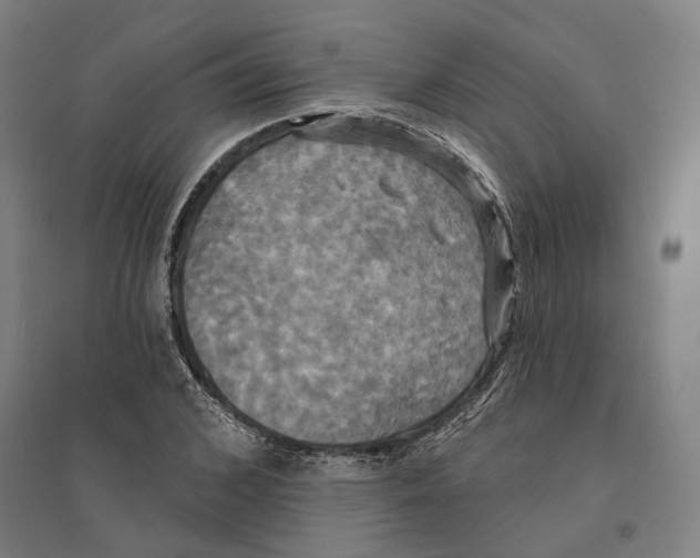 X0000095110976200712301732