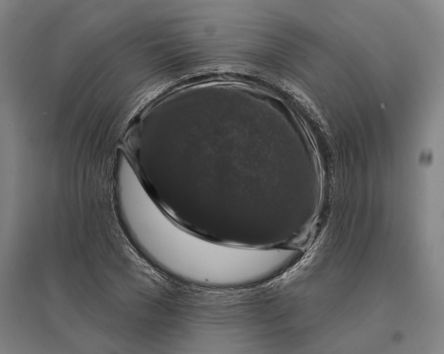 X0000095110977200712301732