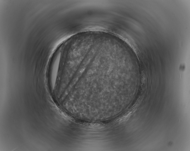 X0000095110979200712301732