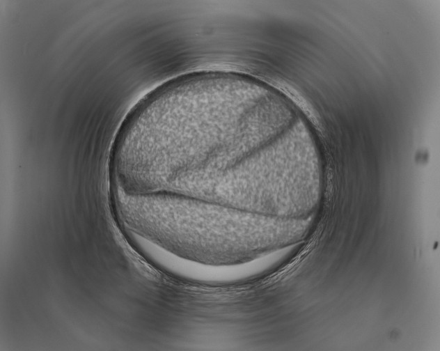 X0000095110980200712301732