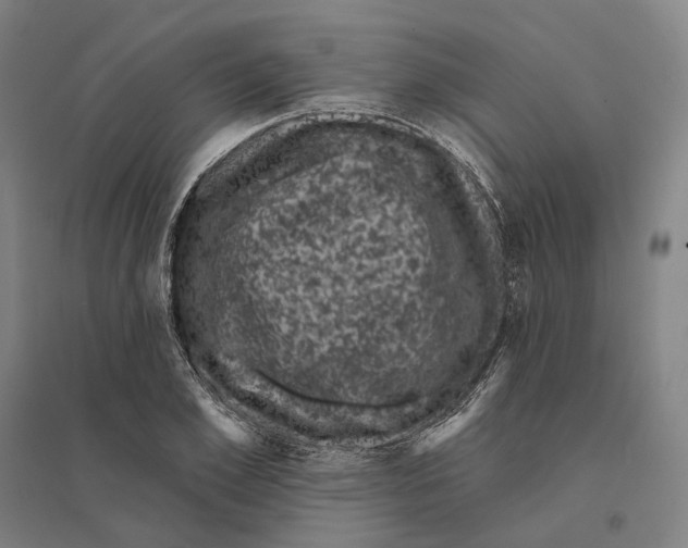 X0000095110981200712301732